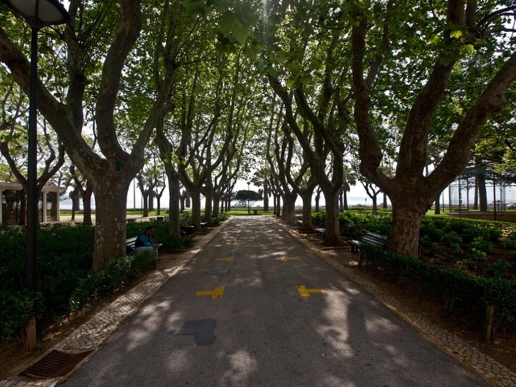 Apartamento 1 Quarto, Com Patio, Em Frente Praia Paço de Arcos Exteriör bild